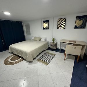 Deluxe Kamer met een King Size Bed